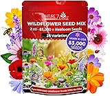 NatureZ Edge Wildflower Seeds Mix – 2 Oz, 85,000