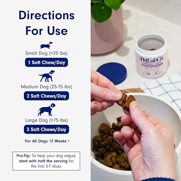 PETLAB CO. PROBIOTICS FOR DOGS, SUPPORT GUT HEALTH, OCCASIONAL DIARRHEA, DIGESTIVE HEALTH & SEASONAL ALLERGIES – SALMON FLAVOR – PACKAGING MAY VARY – 30 SOFT CHEWS
