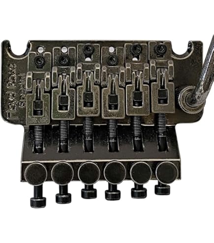 Amazon.com: Floyd Rose Original Tremolo-Chrome (FRT100K) : Musical