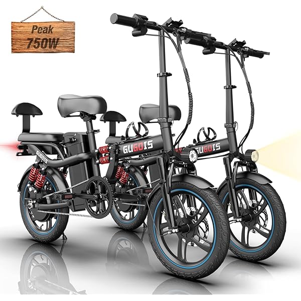 Moto Electrica Adulto Bicicleta Eléctrica Plegable 16