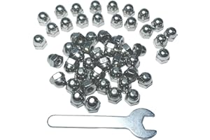 ZDingTech 50pcs #6-32 Acorn Cap Nuts,6-32 Cap Nuts,Acorn Hex Cap Dome Head Nuts,304 Stainless Steel Acorn Nuts,Hardware Nuts,