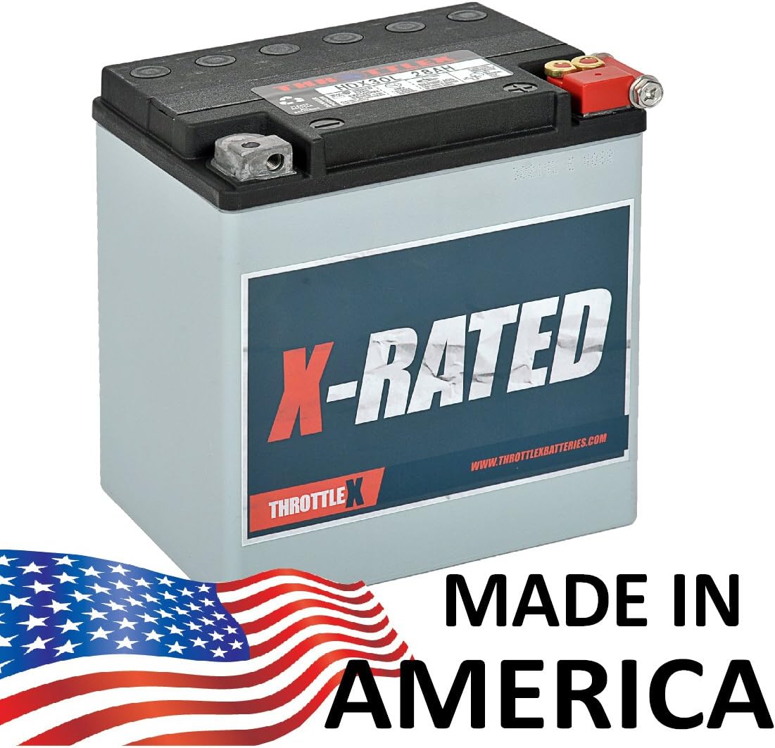 ETX30L Replacement Motorcycle Battery, Batteries Amazon Canada