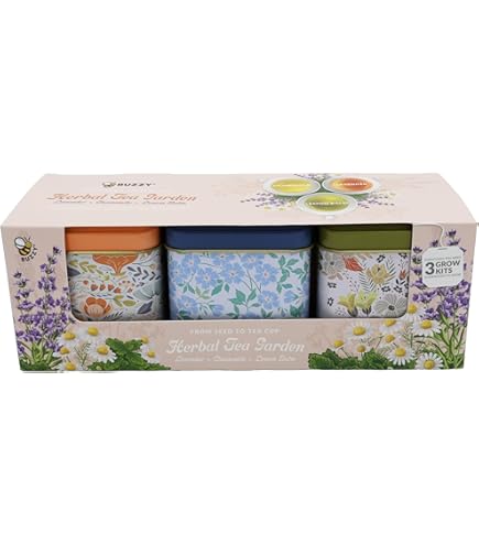 Amazon.com: BUZZY Seeds - Mini kit de cultivo de flores de