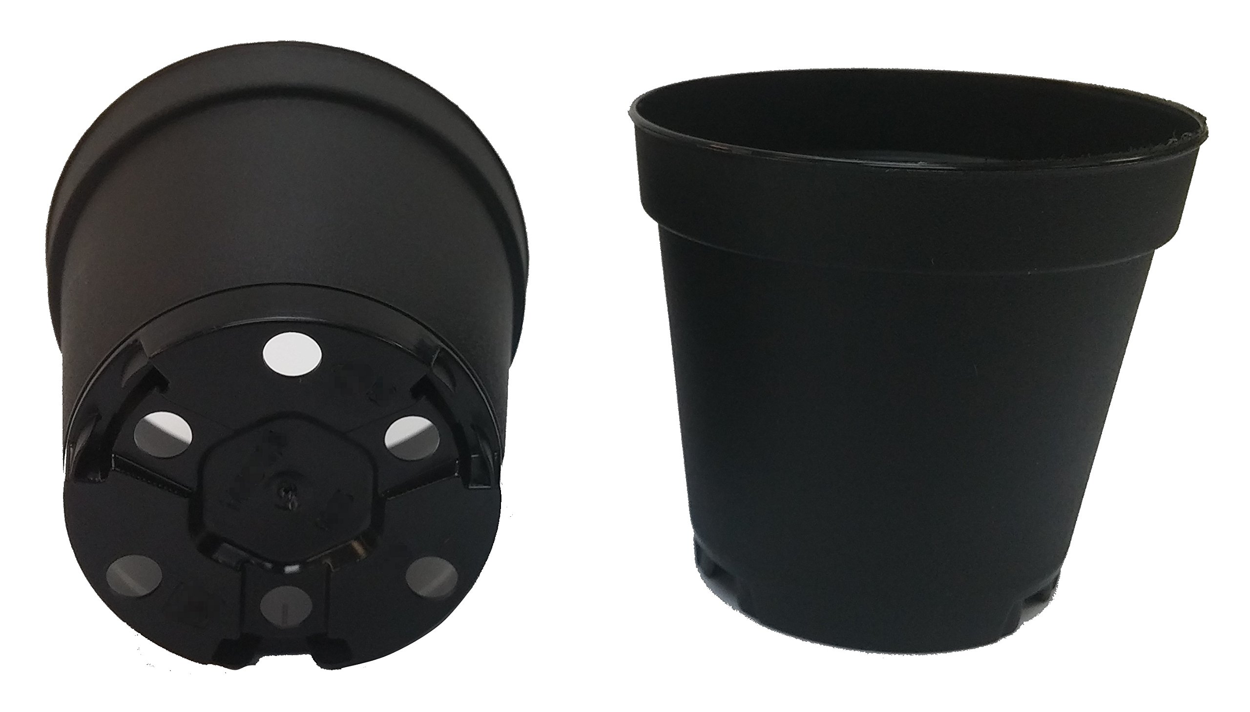 100 New 2 Inch Plastic Nursery Pots ~ Pots are 2 Inch Round at The Top and 1.9 Inch Deep Color: Black