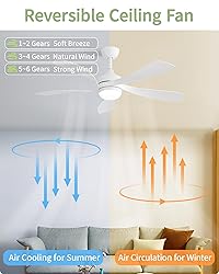 CACI Mall 52" White Ceiling Fans with