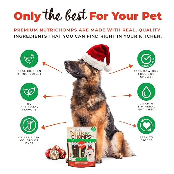 NUTRICHOMPS DOG CHEWS, 5 INCH STICKS, MINT FLAVOR, 15 COUNT, EASY TO DIGEST, RAWHIDE FREE, HOLIDAY STOCKING STUFFER TREATS, CHRISTMAS GIFT FOR DOGS