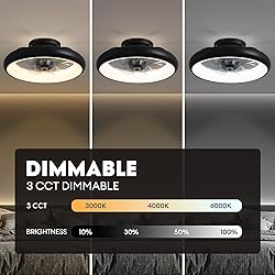 LUDOMIDE Ceiling Fan with Lights, 15" Flush