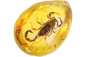 NAMOARLY Stylish Amber Scorpion Specimen Pendant Stone Charm for Jewelry Collection Insect Decor 1pc