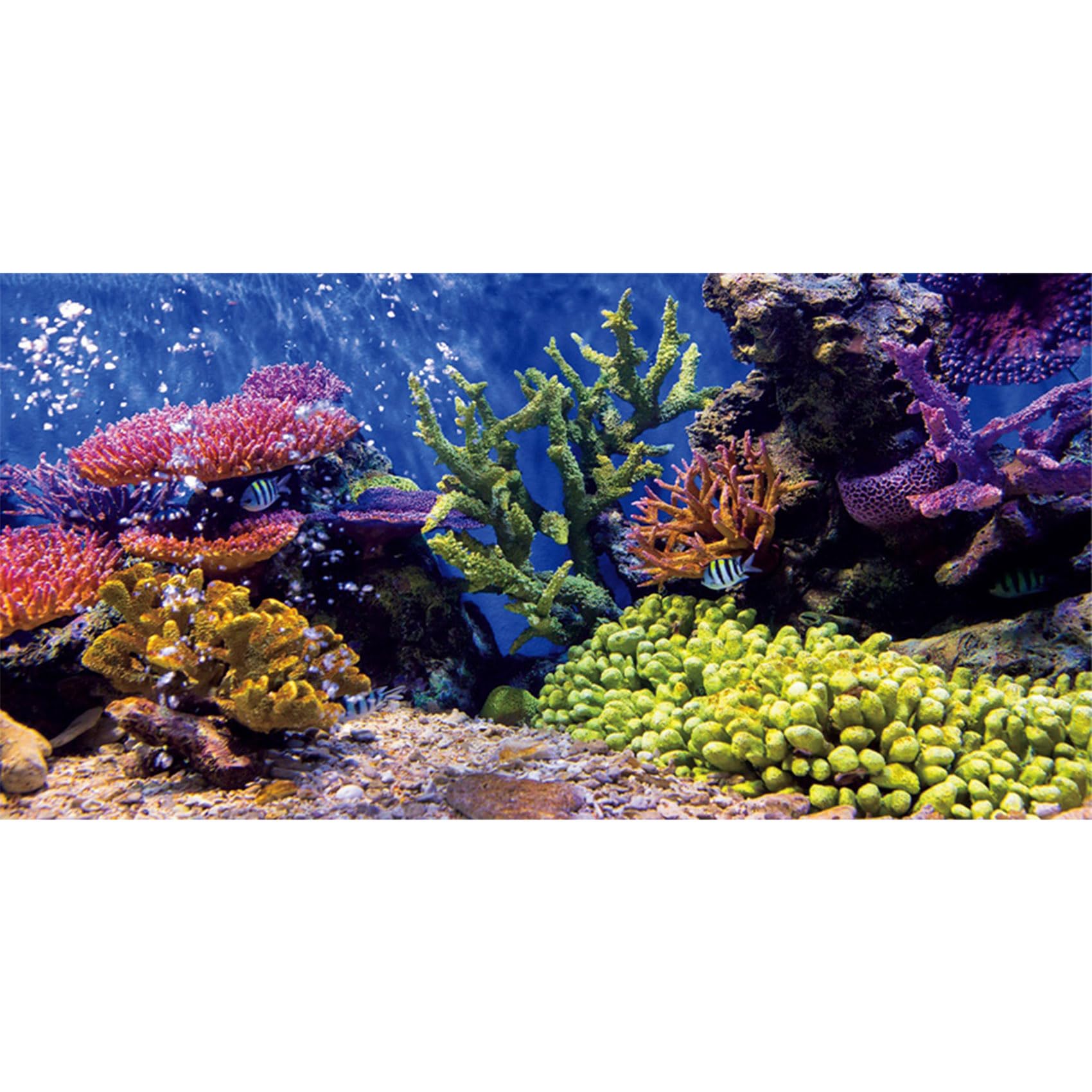 MIRRORANG 91x50cm Durable Vinyl Aquarium Decor Background Coral Tropical Fish Underwater Fish Tank Poster Backdrop