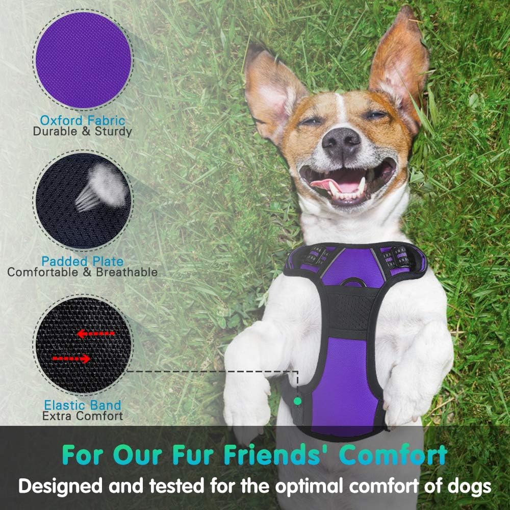 Eagloo Dog Harness Medium, No Pull Harness with Front Back Clips, Adjustable Dog Walking Vest, Soft Padded Pet Vest - Image 5