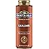 Ghirardelli Caramel Sauce Squeeze Bottle, 16 oz (Pack of 1)