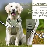 HEELE Dog Harness Small Reflective No-Pull Adjustable Padded Green view 6