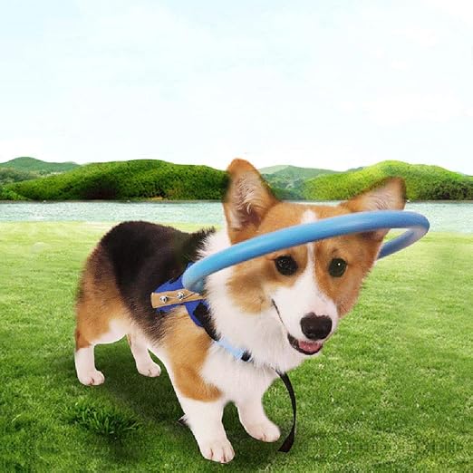 ブルーベル アルネ 住所 盲目 犬 ハーネス Boldlypossible Com