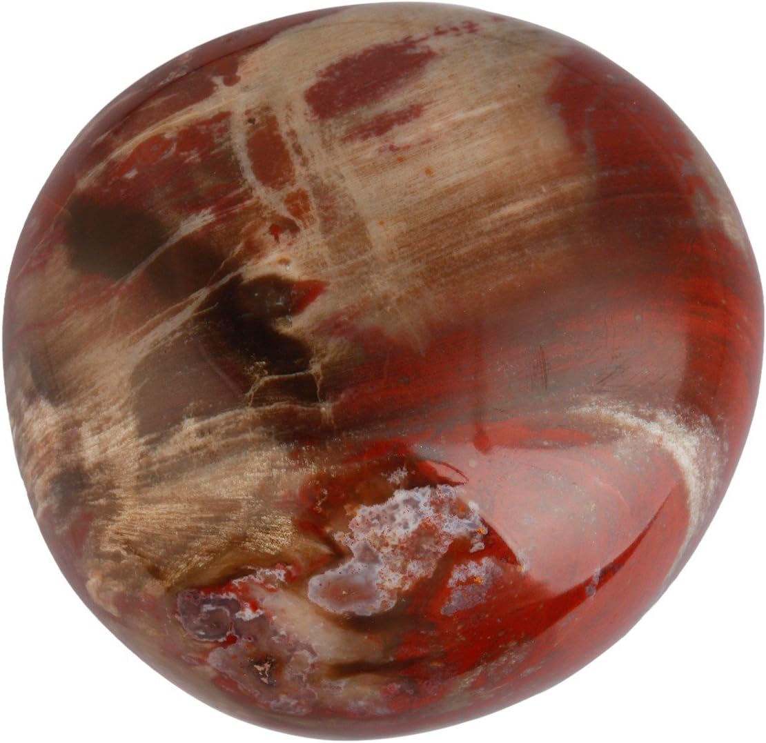 Indoor Fountains & Accessories - SUNYIK Petrified Wood Palm Stones Worry Pocket Stone, Polished Irregular Shaped Sphere Decortarion 1.5