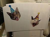 Review Image by Jamie MK Jamie MK