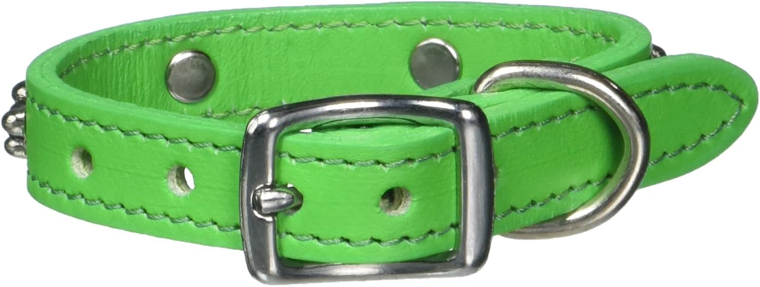 OmniPet Signature Leather Dog Collar with Bone Ornaments