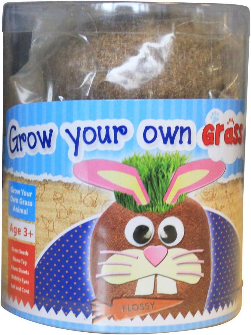 Pet Craze Grow Your Own Grass Animal – Flossy the Rabbit – Creative Arts and Crafts for Kids Ages 5+