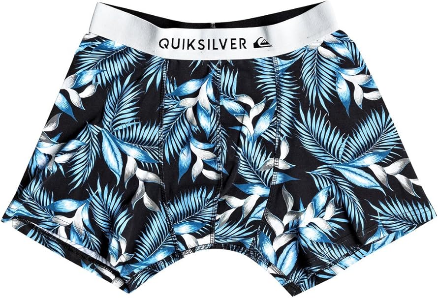 Quiksilver – Calzoncillos de Hombre Boxer Póster, Hombre, Boxer Poster, Bonnie Blue, XL: Amazon.es: Ropa y accesorios