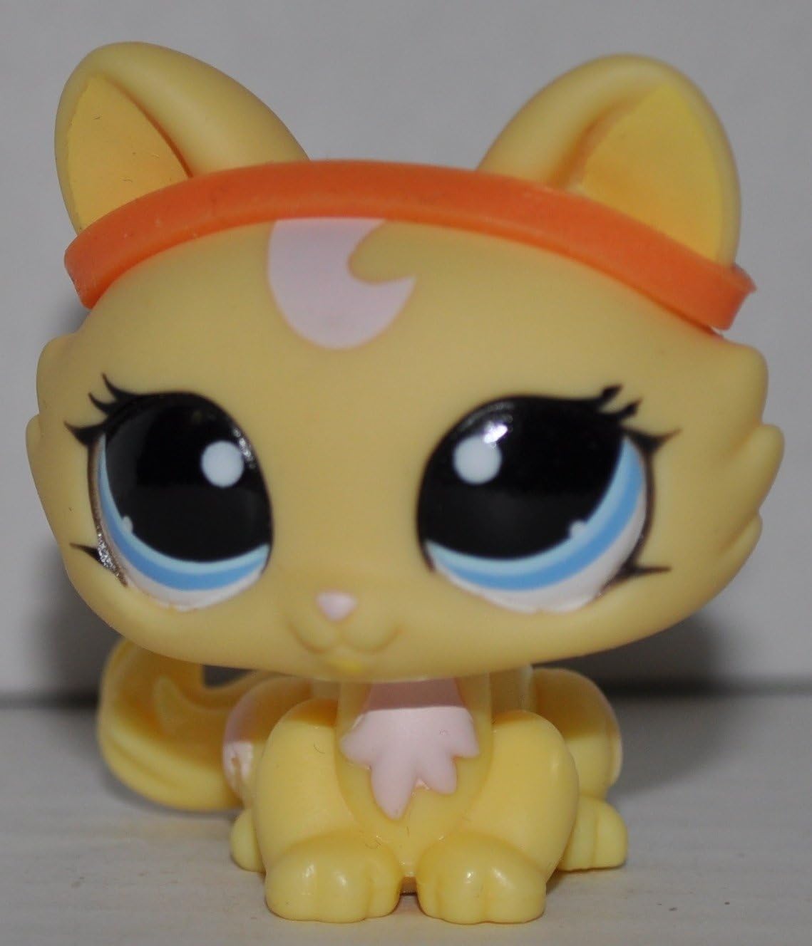 lps kittens amazon