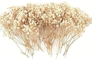 100 Pcs Dried Breath Flowers Bulk - Ivory White Natural Gypsophila, Real Pressed Flowers for Resin Art, Wedding Decor, DIY Cr