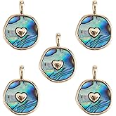 COGCHARGER 5 Pieces Round Paua Shell Charms Abalone Shell Charms Pendant Natural Shell Pendant for Jewelry Necklace Earring Making Crafts