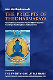 The Precepts of the Dharmakaya: Translation of The Twenty-One Little Nails – The Root Text and its Commentary from the Zhang-Zhung Nyän-Gyüd