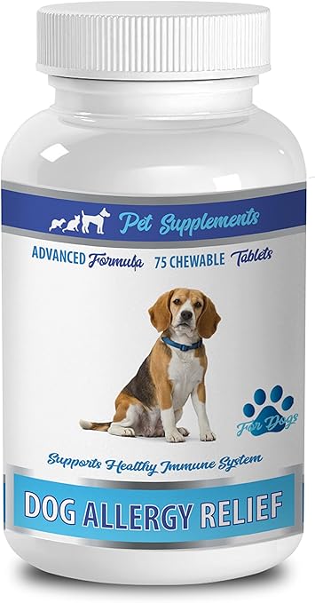 best dog allergy supplement