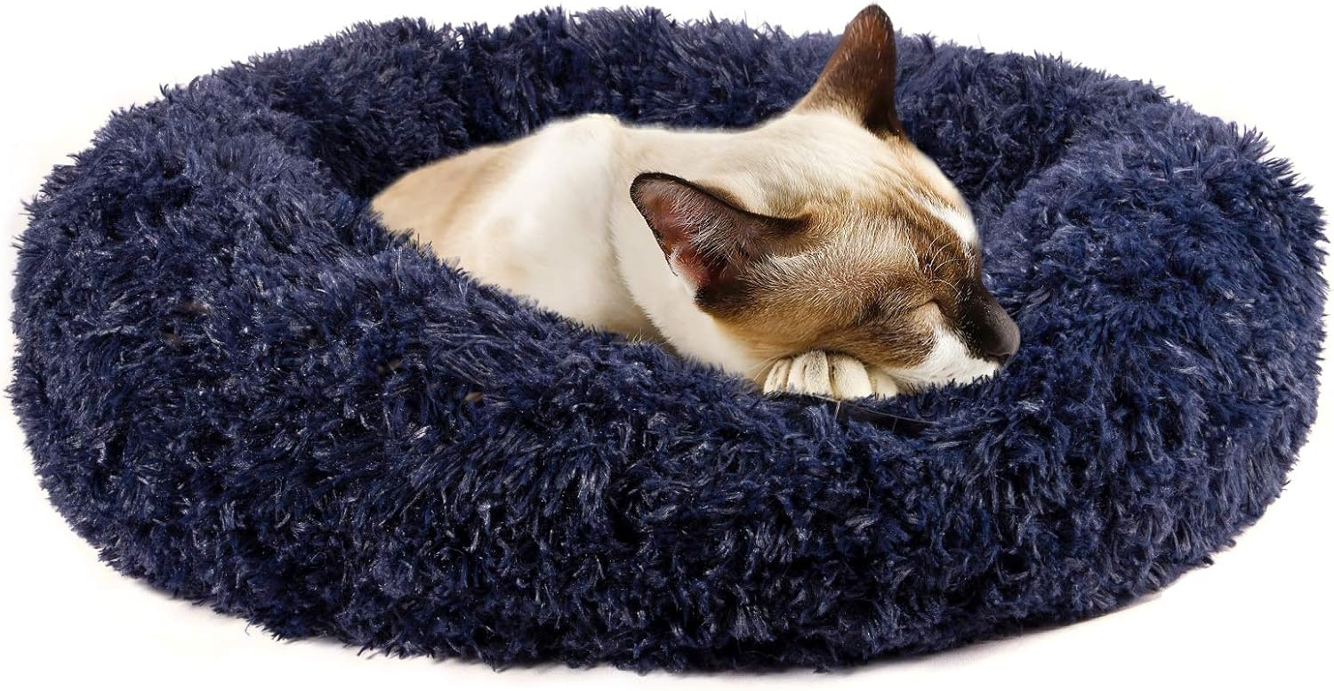 monogrammed cat beds