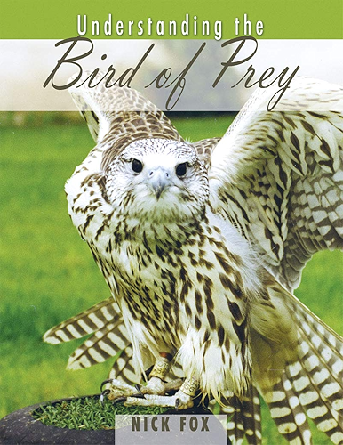 Download Understanding the Bird of Prey (English Edition) PDF