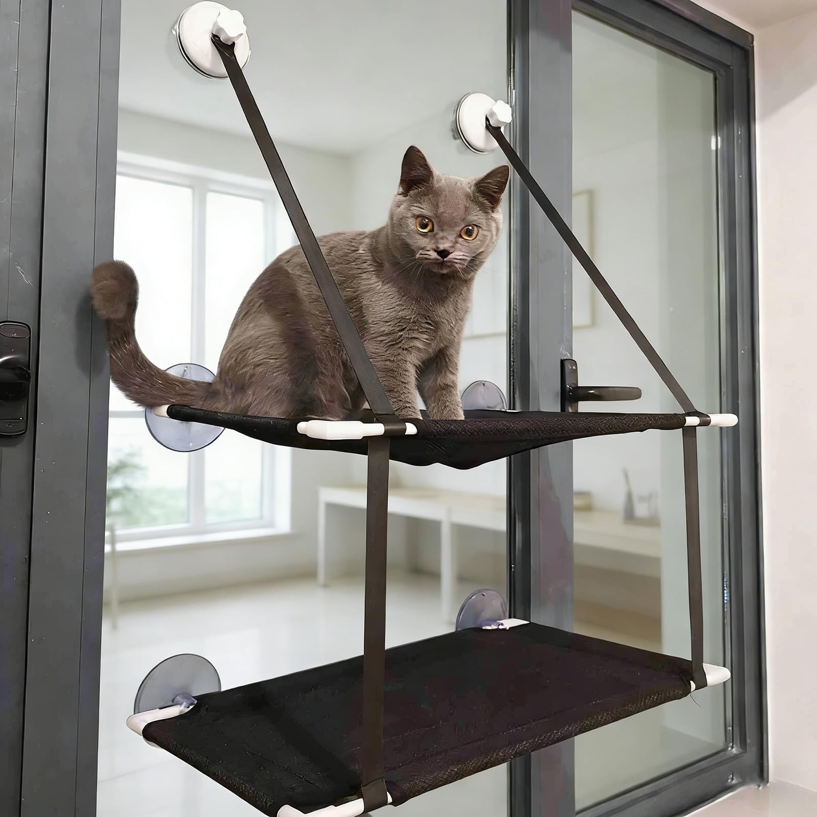 Cat Window Bed, Double Layer Cat Window Hammock Strong Suction Cups Cats Window Perch for Indoor Cats, Hold Up to 10kg