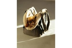 Owleys Dog Purse Carrier for Small Dogs - Pet Carrier Gray Beige