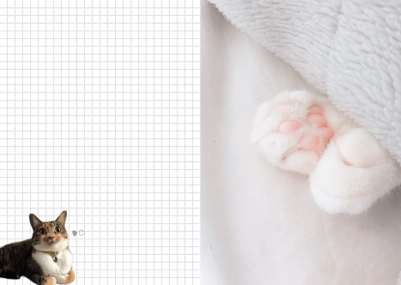 にゃんこのぷにぷに肉球手帳 21 インプレス手帳21 フェリシモ猫部 本 通販 Amazon