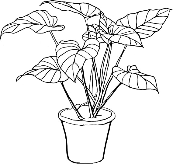 Amazon Com Ink Inc Tropical Plants Botanical Prints Minimalist Modern Abstract Line Drawings Wall Art Minimal Black And White Home Decor Set Of 6 8x10 Matte Unframed Posters Prints