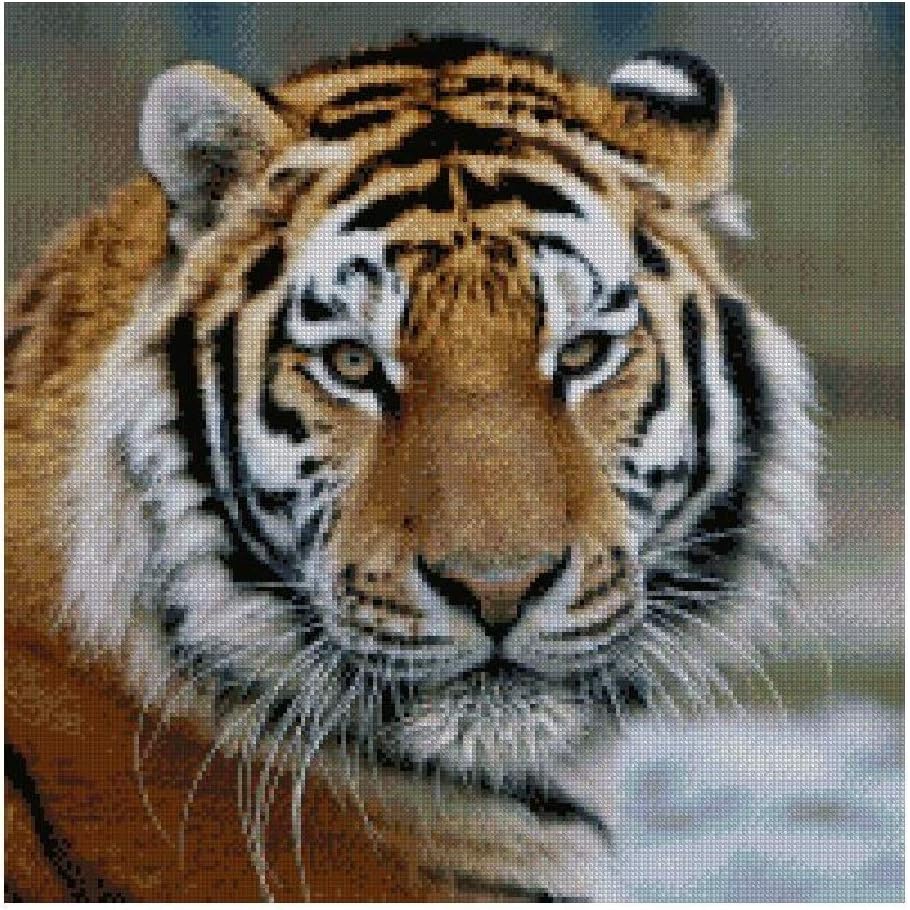 SWEET HOME The Tiger, 14ct counted cross stitch kit embroidery kits