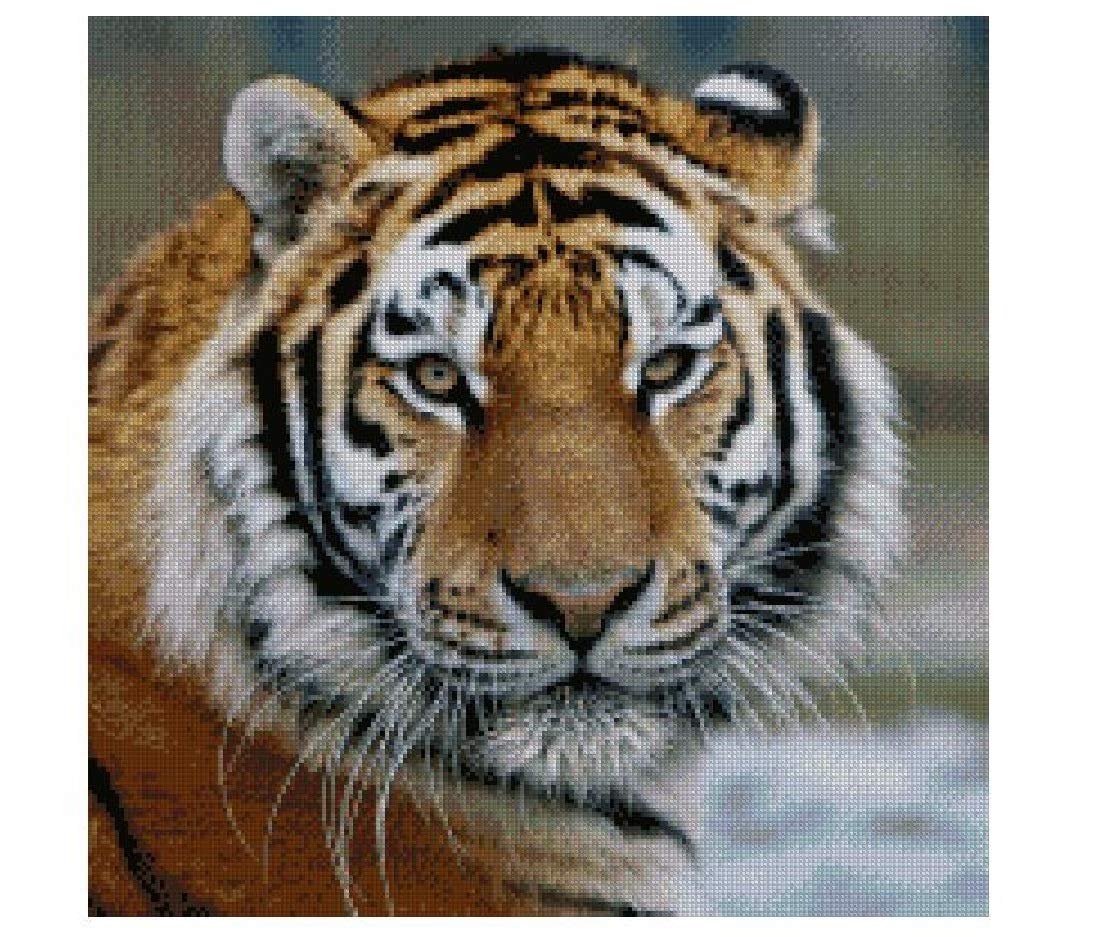 The Tiger, 14ct counted cross stitch kit embroidery kits, 200x200stitch,46x46cm Egyptian cotton counted cross stitch kits tiger