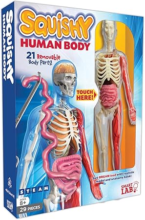 SmartLab Toys Squishy Human Body 