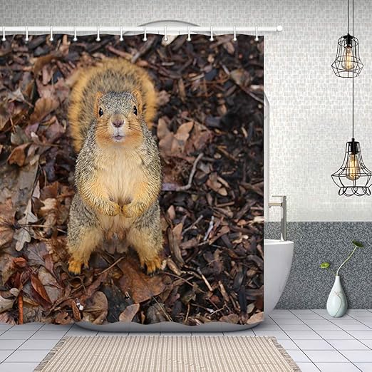 Amazon Com Nymb Nature Autumn Animals Shower Curtain Decor Grey