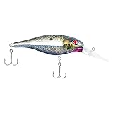 Berkley Bad Shad Fishing Lure, Black Silver, 1/4