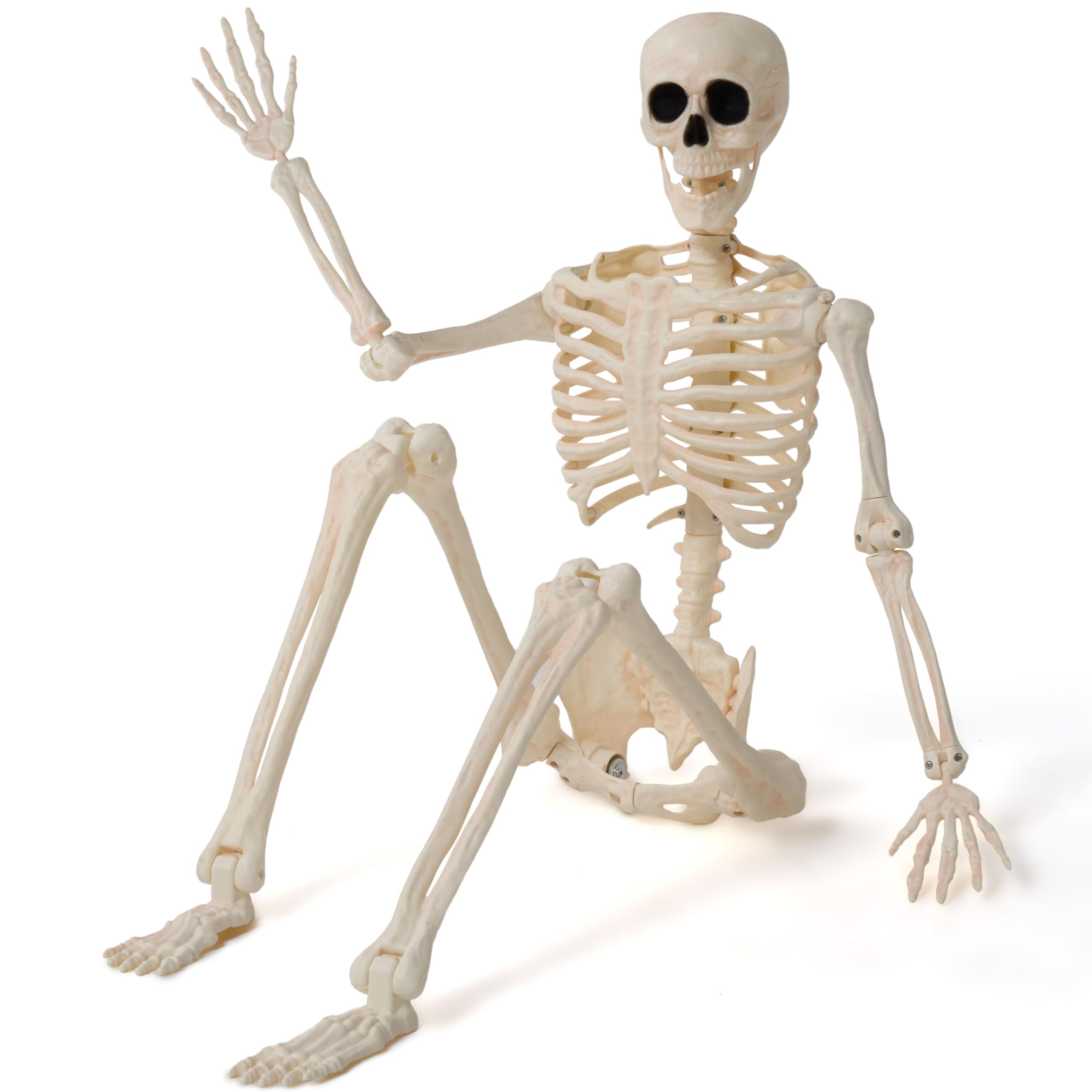 Photo 1 of JOYIN 36" Halloween Skeleton Decor, 3FT Full Body Stayable Movable Joints, Posable Hanging Skeletons for Halloween Decoration, Yard, Graveyard, Haunted House Props, Spooky Scene Party Favor