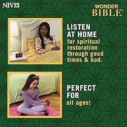 Wonder Bible NIV- The Audio Bible Player That You