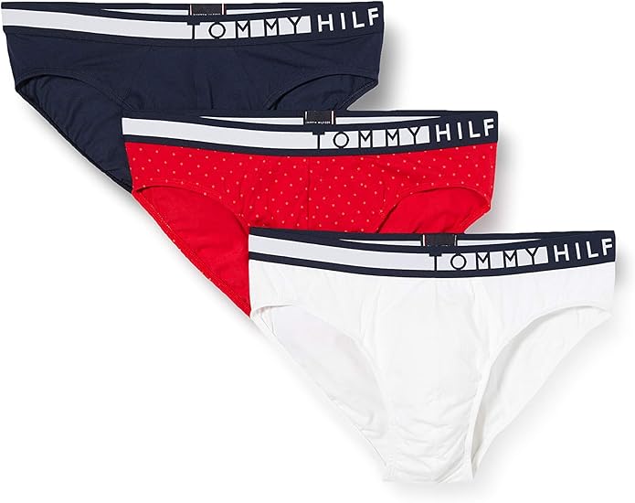 الحد الأدنى محنة أولورو calzoncillos slip tommy hilfiger - dsvdedommel.com