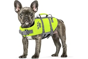Queenmore Small Dog Life Jacket, Ripston Dog Life Vest, Small Doggie Life Vest for Swimming, Safety Puppy Swimming Vest with Handle, Puppy Preserver for Boating, Pet Lifesaver for Water Pool