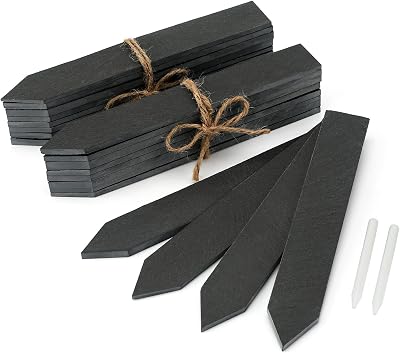 KINGLAKE 20Pcs Slate Plant Labels with Talcum Pen 3cm Large Markers