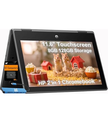 Amazon.com: HP Fortis Flip G1m 11.6