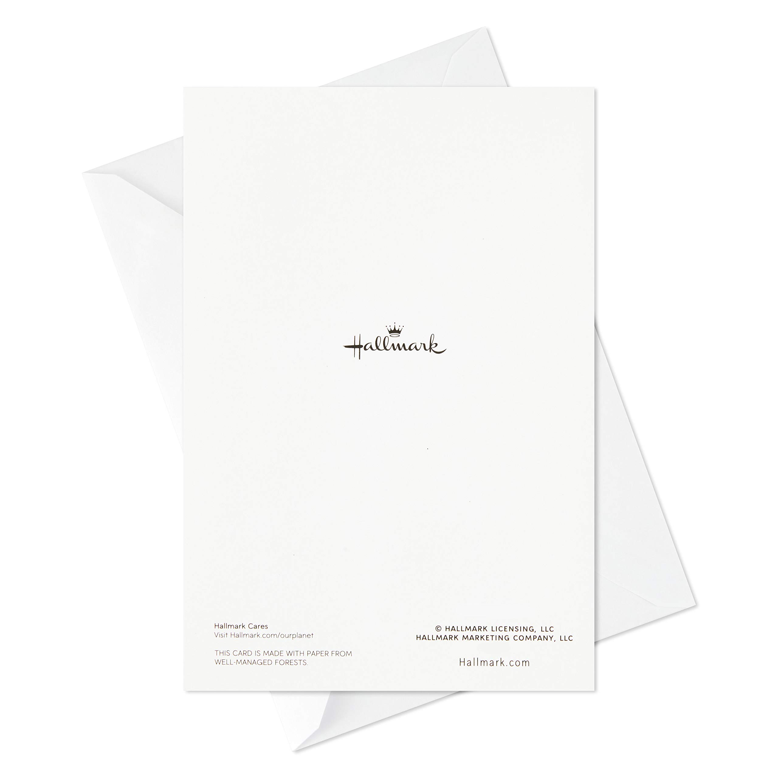 Hallmark Birthday Cards Assortment, 20 Cards with Envelopes (Refill Pack for Hallmark Card Organizer Box)