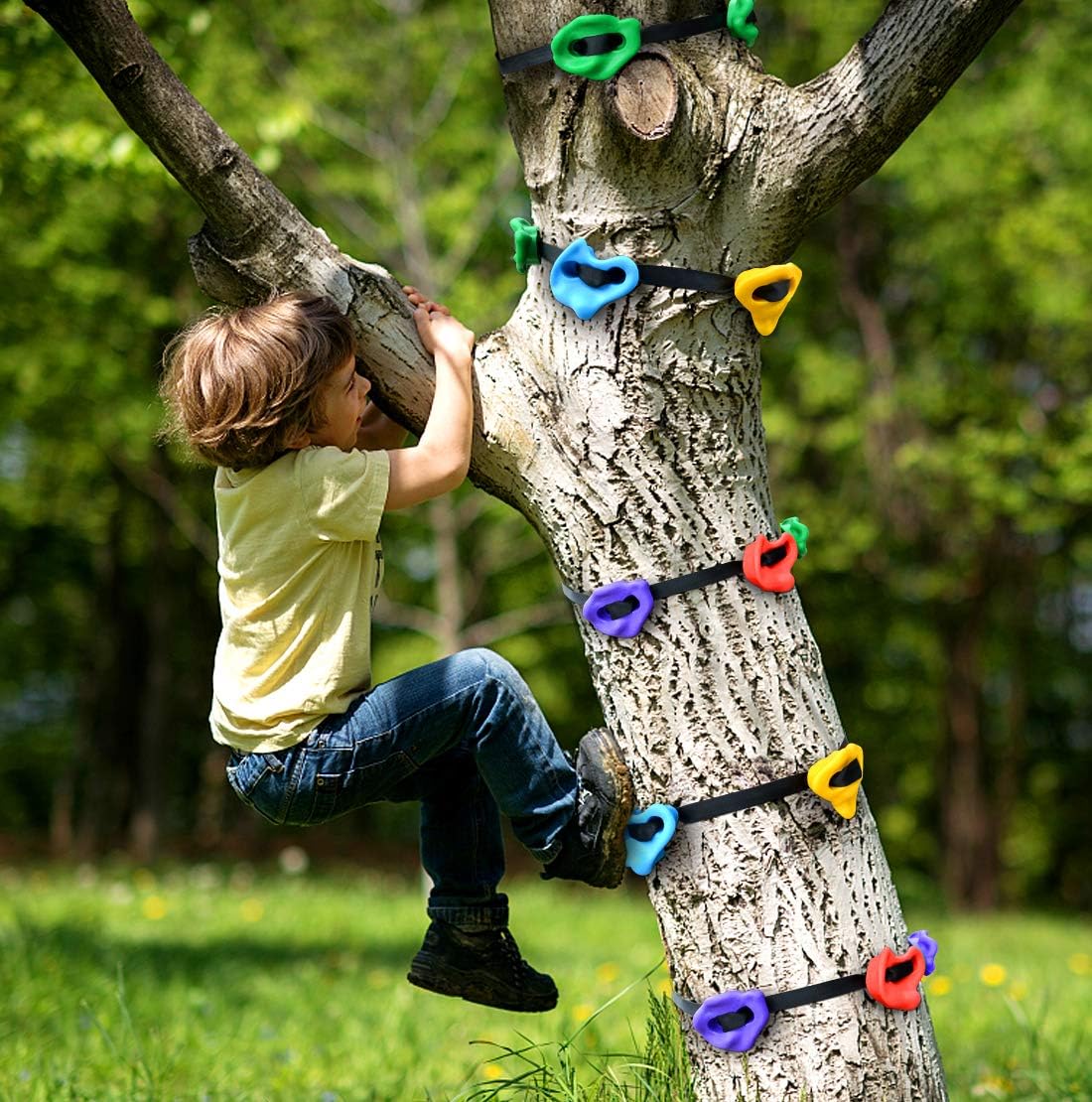 TOPNEW 12 Ninja Tree Climbing Holds for Kids Climber, Adult Climbing Rocks with 6 Ratchet Straps for Outdoor Ninja Warrior Obstacle Course Training: Toys & Games