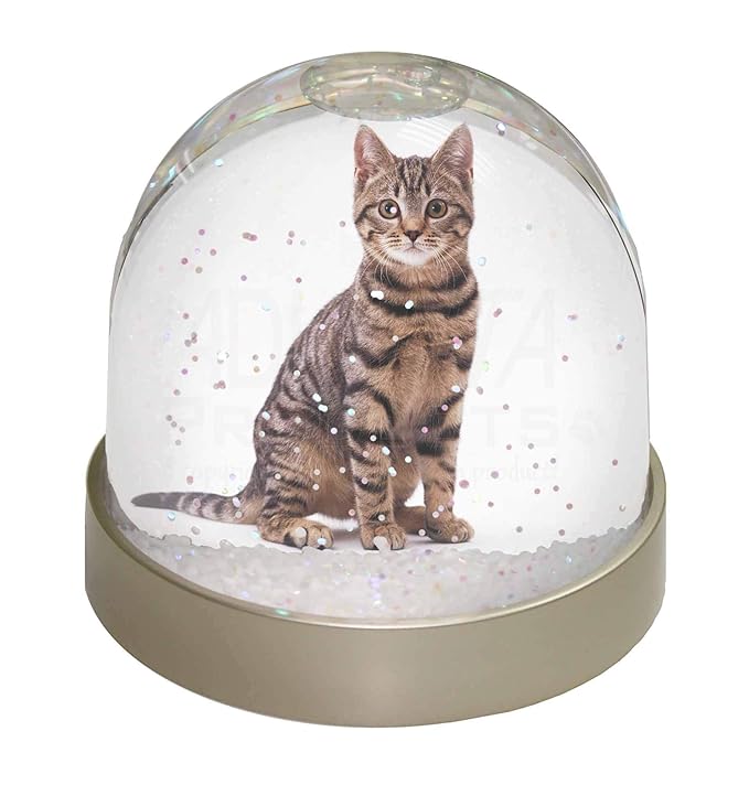 Advanta Group Brown Tabby Cat Snow Dome Globe Waterball Gift, Multi