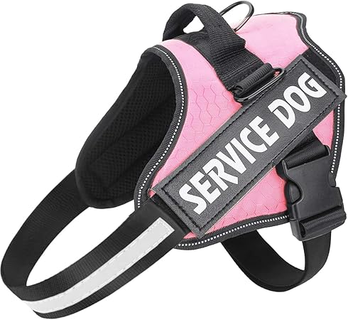 amazon service dog vest small