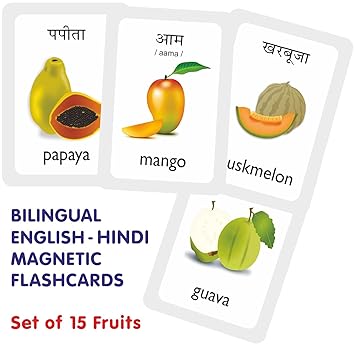 MFM Toys Magnetic Flashcards ~ (Bilingual English + Hindi Flashcards) (Fruits)