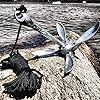 BEST-Kayak-Anchor-for-Canoes-Jet-Skis-Dinghy-SUP-Paddleboard-Small-Boats-35lbs-Galvanized-Iron-Anchors-Include-a-40-FT-Marine-Rope-Buoy-Ball-Stainless-Steel-Hook-Yak-Angler-Fishing